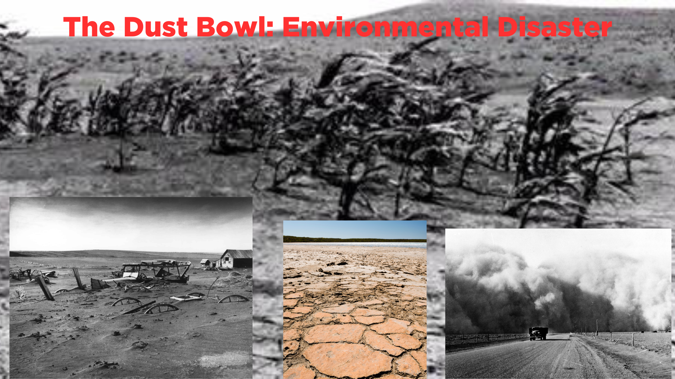 The Dust Bowl: Environmental Disaster