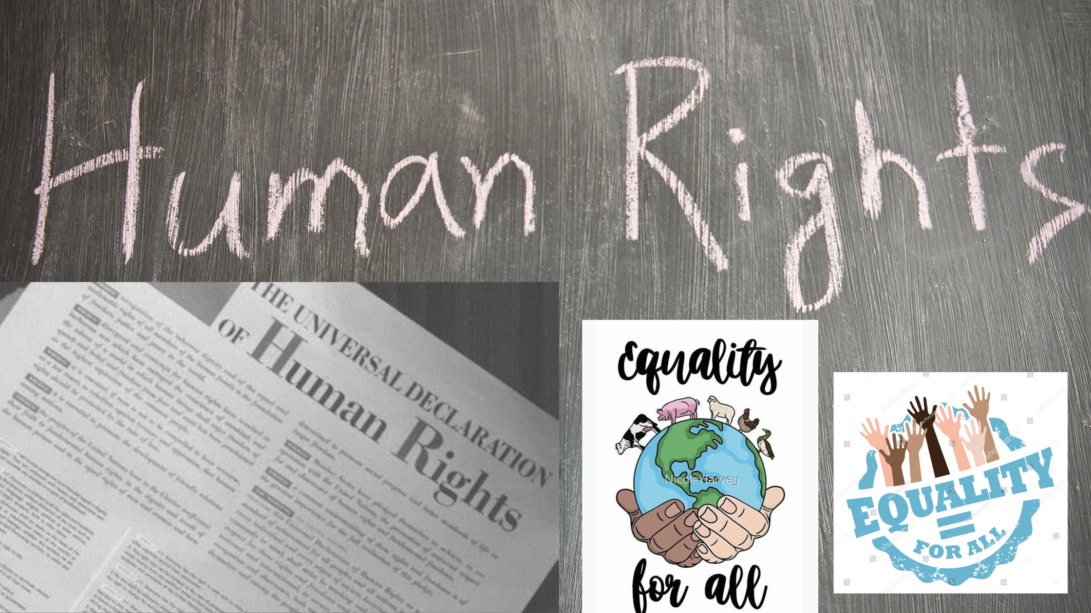 The Declaration of Human Rights: Equality for All