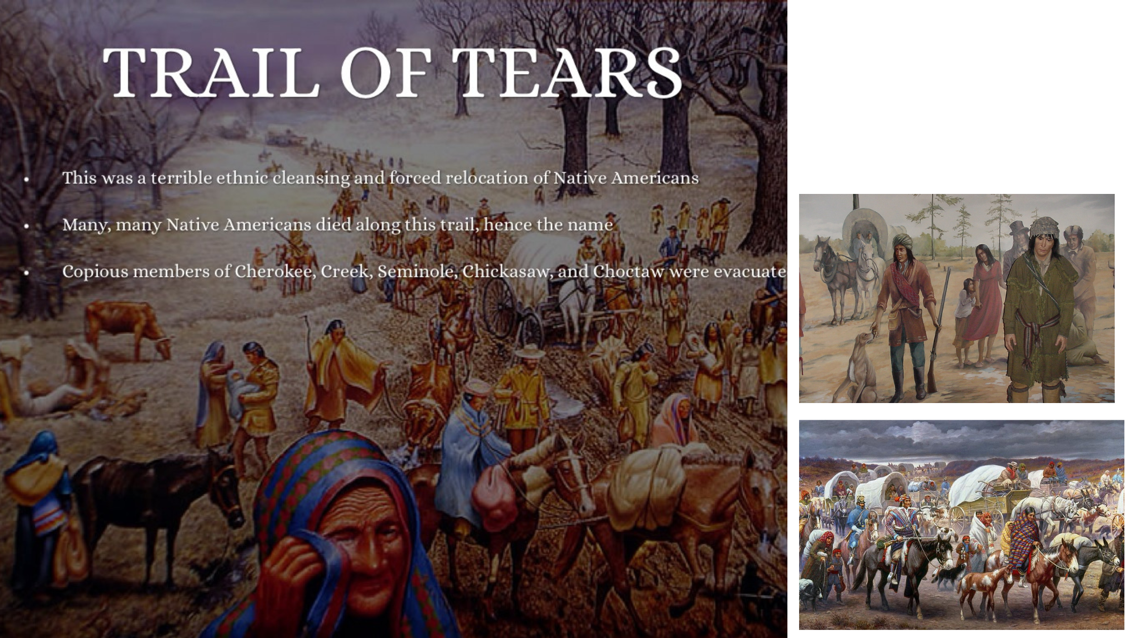 The Trail of Tears: Native American Forced Relocation