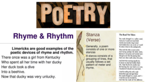 Introduction to Poetry: Rhymes, Rhythms, and Stanzas