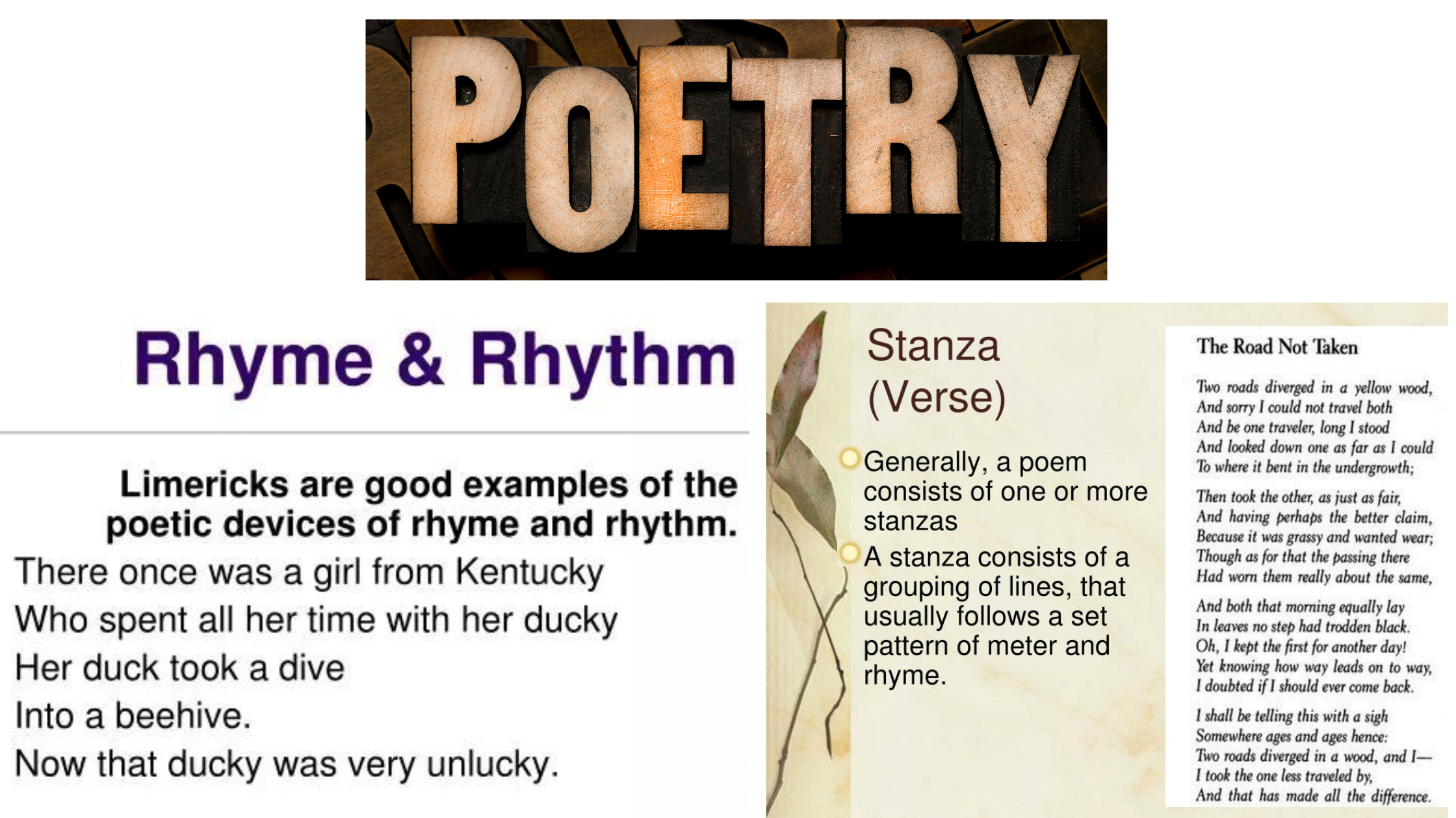 Introduction to Poetry: Rhymes, Rhythms, and Stanzas