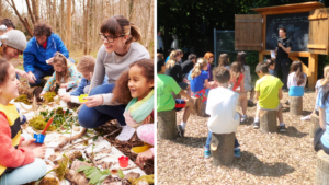 Outdoor Education and Learning in Elementary Settings